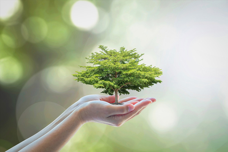 Path to Wealth Workshop